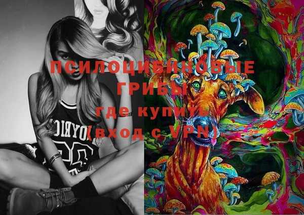не бодяженный Алексин